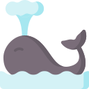 ballena icon