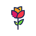 rosa icon