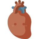 cardiología icon