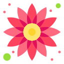 girasol icon