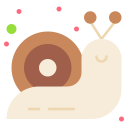 caracol icon