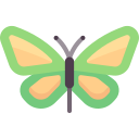 mariposa icon