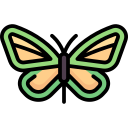 mariposa icon