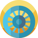 chakra ashoka icon