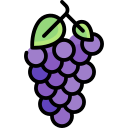 uvas icon