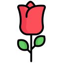 rosa icon