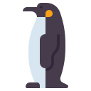 pingüino 