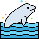 beluga 