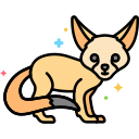 fennec 