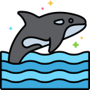 orca icon