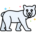 oso polar 