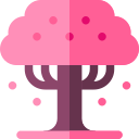 sakura icon