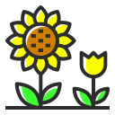 girasol icon