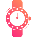 reloj icon