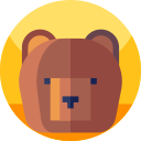 bär icon