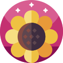 girasol icon