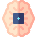 cerebro icon