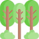 bosque icon