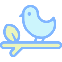 pájaro icon