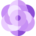 peonie icon