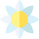 tulipán icon