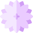 astrantia icon