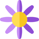 aster icon