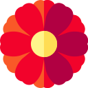 gerbera icon