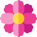 aster mexicano icon