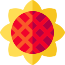 girasol icon