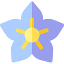 myosotis icon