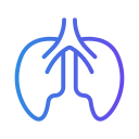 pulmones icon