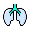 pulmones icon