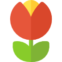 tulipán icon