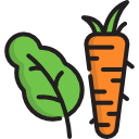 vegetales icon