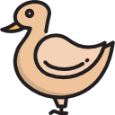 pato icon