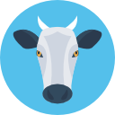 vaca icon