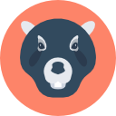 castor 