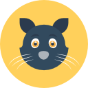 gato icon