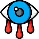 ojo icon