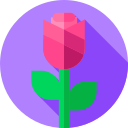 rosa icon