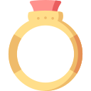 anillo icon