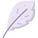 pluma de la pluma