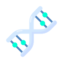 Dna structure icon
