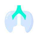 pulmones icon