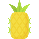 piña icon