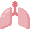 pulmones icon