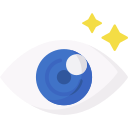 ojo icon