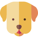 perro icon