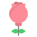 rosa icon